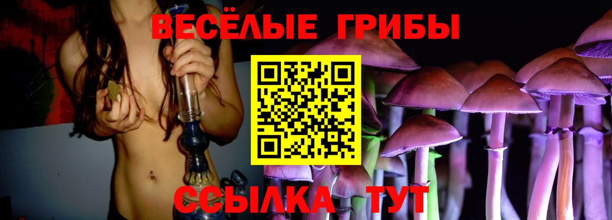Галлюциногенные грибы Cubensis Всеволожск